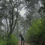 Kathmandu: Shivapuri National Park Nature Photography Tour - Practical Details: Making the Most of Your Day