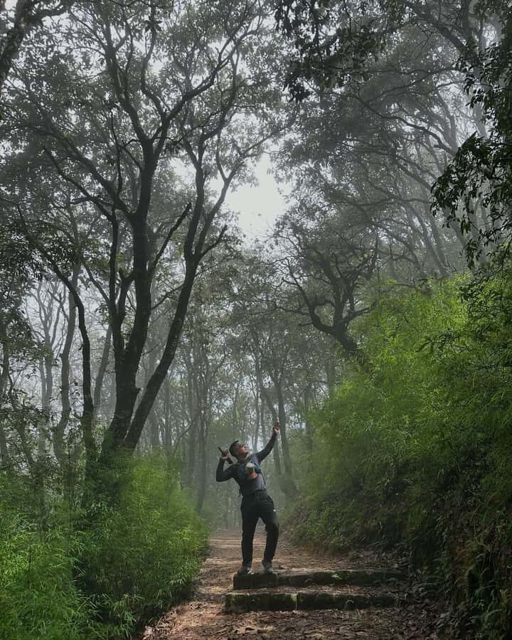 Kathmandu: Shivapuri National Park Nature Photography Tour - Practical Details: Making the Most of Your Day