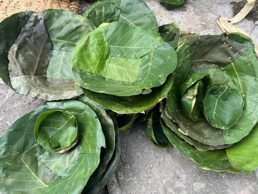 Kathmandu: Traditional Tapari Making Experience - The Hands-On Crafting Process