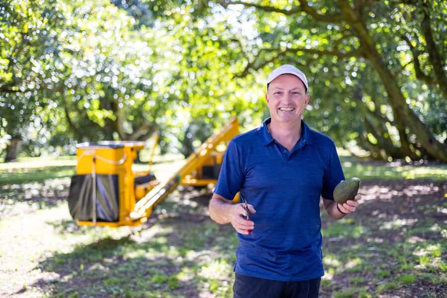 Katikati: Guided Avocado Adventures with Tasty Treats - In-Depth Look at the Itinerary