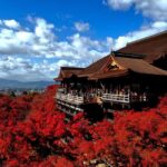 Katsuo-ji, Kyoto Kiyomizu-dera & Arashiyama Tour w/tea opt. - Practical Details and What It Means for You