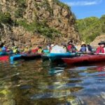 Kayak Clean-up and BBQ Tour on Tottori Uradome Coast - Authenticity and Unique Experiences