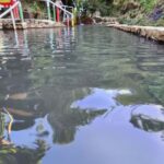 Kayak & Snorkel, Farm, & Hot Springs in Soufriere Volcano - Deep Dive into the Itinerary