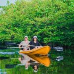 Kayaking Adventure on serene waters through mangroves, Akurala - An In-Depth Look at the Akurala Kayaking Experience