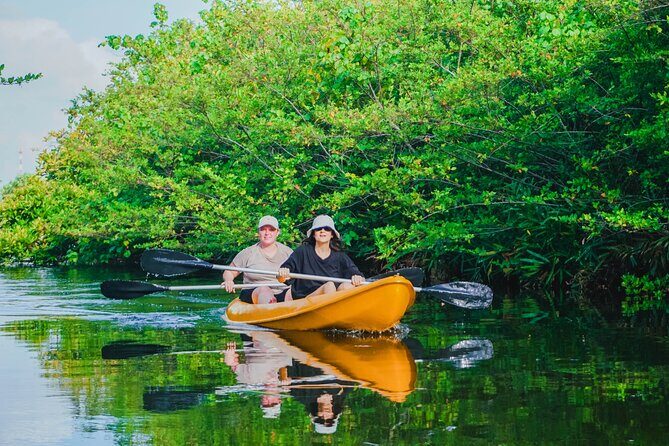 Kayaking Adventure on serene waters through mangroves, Akurala - An In-Depth Look at the Akurala Kayaking Experience