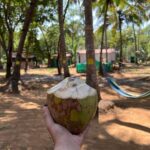 Kayaking At Private Island In Goa - Authentic Insights from Reviewers