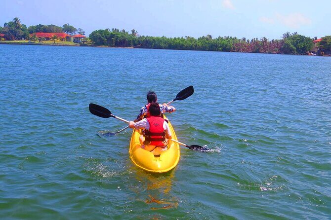 Kayaking from Bolgoda Lake - The Sum Up
