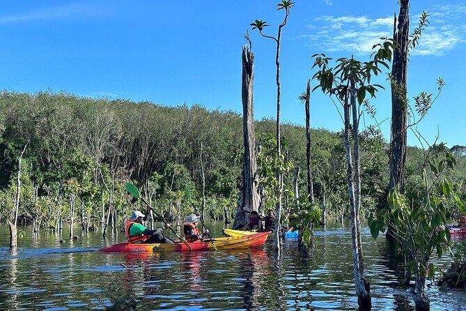 Kayaking Tour at Klong Root (Crystal Lake), Krabi - Why This Tour Offers Great Value