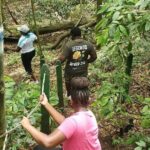 Ken's Panoramic Rainforest Tour - Final Thoughts: Is It Worth It?