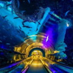 Kenting: National Museum of Marine Biology & Aquarium - The Sum Up