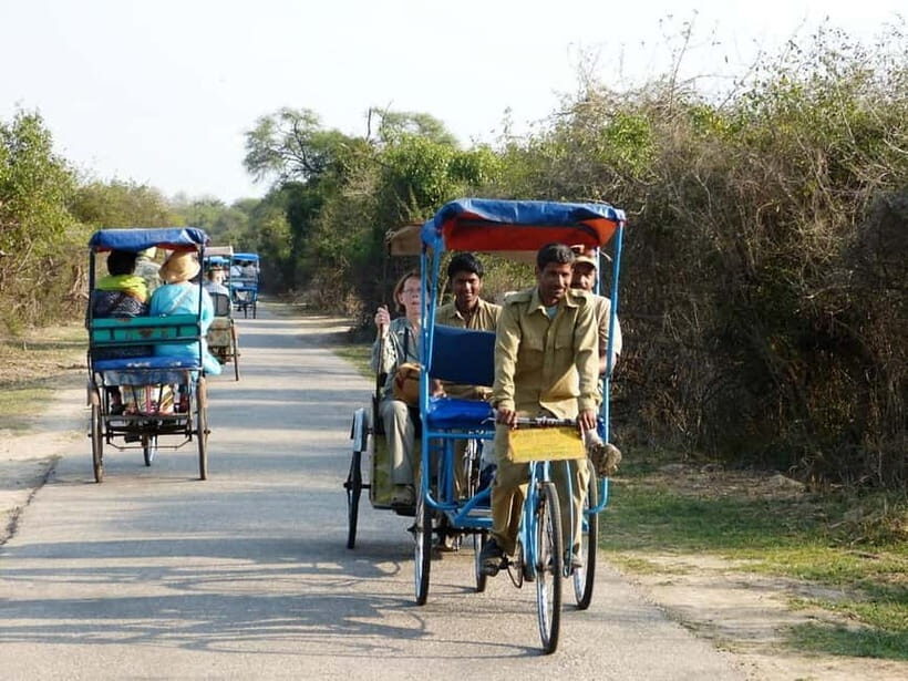 Keoladeo National Park Tickets and Guided Tour - What to Expect from the Keoladeo National Park Tour