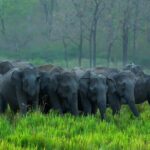 Kerala 6 Day Tour Munnar Thekkady Alleppey Kovalam Beaches - Exploring Munnar’s Charms