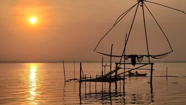 Kerala: SUP or Kayak to Bird's Island with Nature Walk - The Experience in Detail