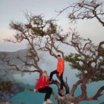 Ketapang Port: 6-Day Java Tour to Yogyakarta - What This Tour Means for You