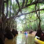 Khao Lak: Canoe Little Amazon & Trekking National Park - The Itinerary in Detail