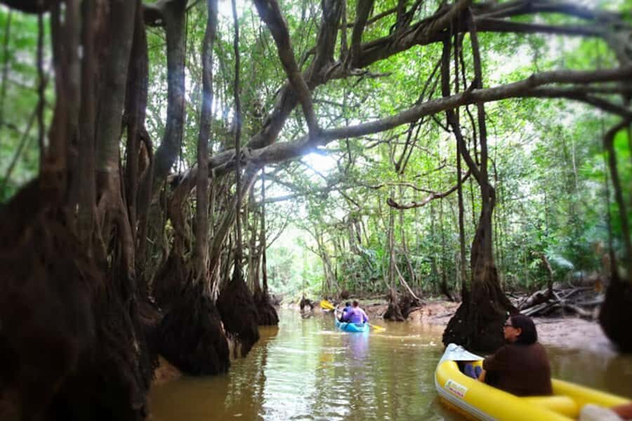 Khao Lak: Canoe Little Amazon & Trekking National Park - The Itinerary in Detail