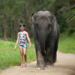 Khao Lak: Elephant Bathing and Turtle Center Visit - What Travelers Say