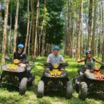 Khao Lak: Ethical Elephant, Zipline & ATV Premium Combo - Ziplining: A Sensory Adventure Above the Canopy