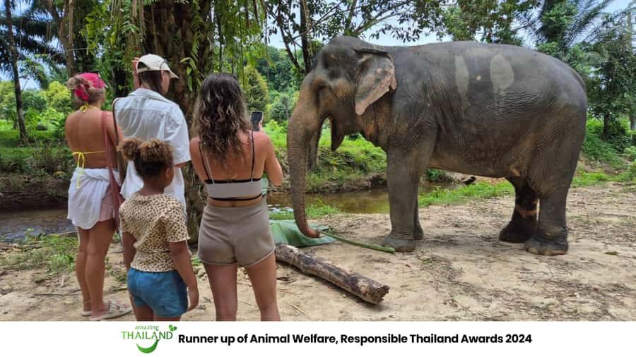 Khao Lak: Guided Tour to Elephant Sanctuary & Hotel Transfer - Highlights and Unique Aspects