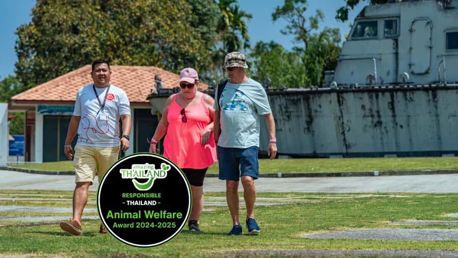 Khao Lak: Highlights with Temple, Turtles & Elephants Tours - The Practicalities and Logistics  