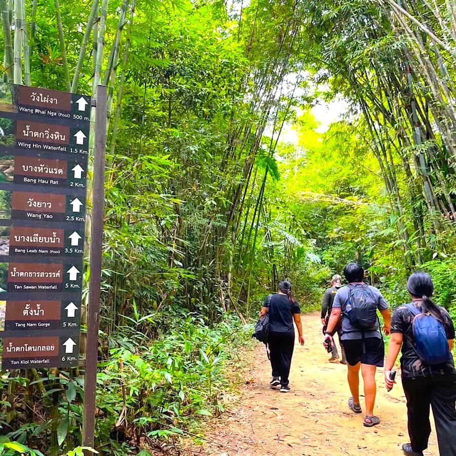 Khao Lak/Khao Sok : Khao Sok Trekking, Rafting, Lunch - Lunch in Bamboo Tubes — A Unique Dining Experience