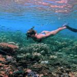 Khao Lak/Phuket: Platinum Surin Snorkel Escape by Powercat - Journey to the Surin Islands: What to Expect