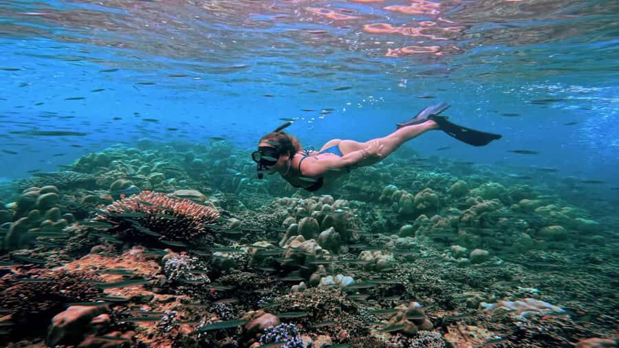 Khao Lak/Phuket: Platinum Surin Snorkel Escape by Powercat - Journey to the Surin Islands: What to Expect