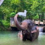 Khao Sok: Private Ethical Elephant Sanctuary Adventure - Additional Scenic Stops and Flexibility