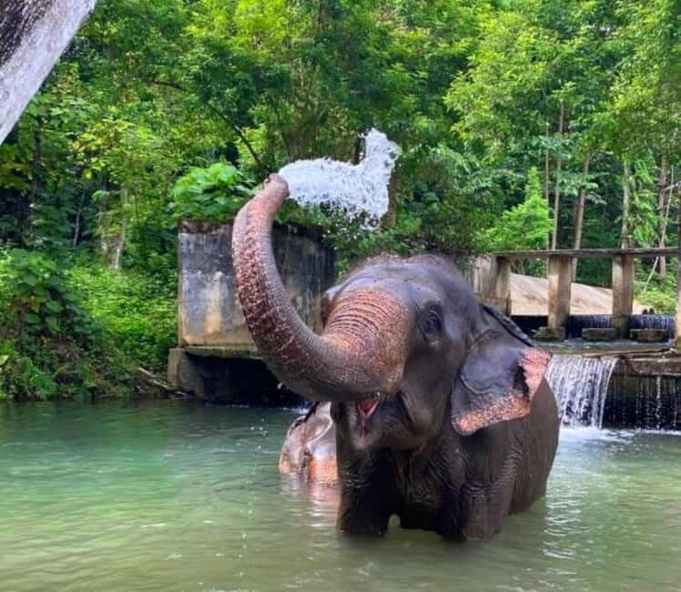 Khao Sok: Private Ethical Elephant Sanctuary Adventure - Additional Scenic Stops and Flexibility