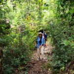 Khao Sok: Private Jungle Trek, Waterfall Swim & Bamboo Lunch - An In-Depth Look at the Khao Sok Tour