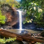 Khao Yai Waterfalls and Wilderness Private Chartered Tour - Authentic Experiences and Reviewer Insights