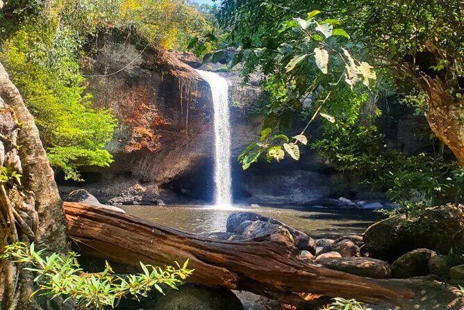 Khao Yai Waterfalls and Wilderness Private Chartered Tour - Authentic Experiences and Reviewer Insights