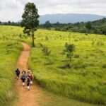 Khao Yai: Waterfalls, Deer Spotting & Jungle Walks Day Tour - Practical Aspects and Logistics