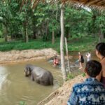 Khaolak: Elephant Sanctuary Guided Tour with Hotel Transfers - Practical Tips for Visitors
