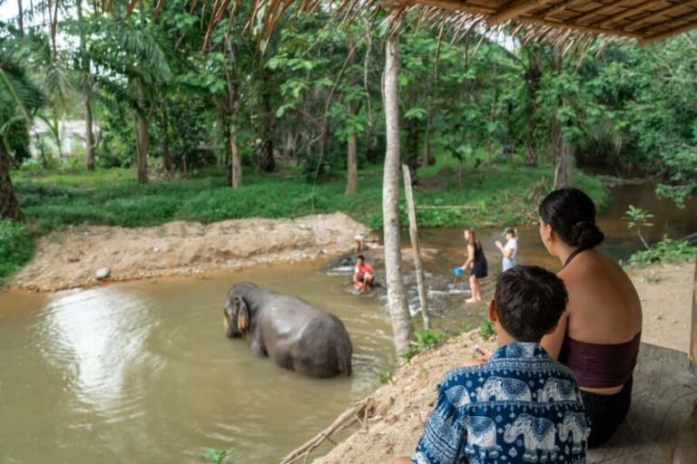 Khaolak: Elephant Sanctuary Guided Tour with Hotel Transfers - Practical Tips for Visitors
