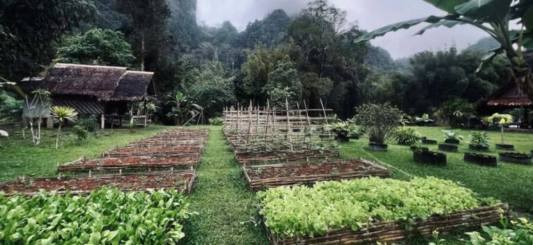 Khaosok:BambooCooking&GardenHarvest,Bamboo Rafting&Temple - Practical Details and What to Expect