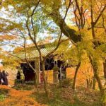 Kimono Experience in Akizuki Castle Town - Practical Aspects & Value