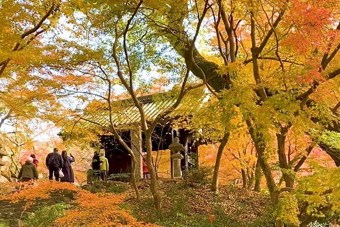 Kimono Experience in Akizuki Castle Town - Practical Aspects & Value