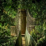 Kinabalu National Park Tour - Stopping at Desa Dairy Farm: A Slice of New Zealand in Sabah