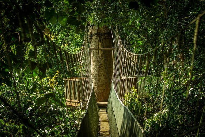 Kinabalu National Park Tour - Stopping at Desa Dairy Farm: A Slice of New Zealand in Sabah