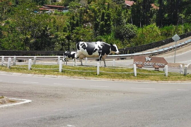Kinabalu Park And Poring Hot Spring Private Day Tour - Authentic Experiences and Insights from Reviews