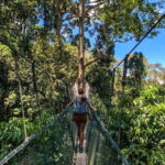 Kinabalu Park, Desa Dairy Farm & Poring Hot Springs Tour - Practical Details and What to Expect