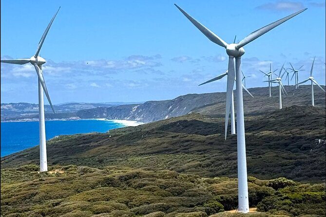 Kinjarlings Killer Coast: A Self-Guided Drive Through Albany - Authentic Insights from Past Reviewers