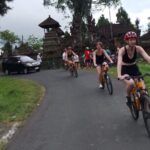 Kintamani Down Hill Cycling - What You Can Expect in Terms of Value