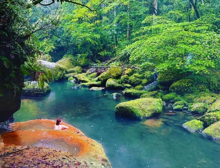 Kirishima: Wild Hot Spring in Bamboo Forest - In-Depth: Why This Tour Works