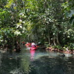 Klong Rud Kayaking with Hotel Transfer - What to Know Before You Go