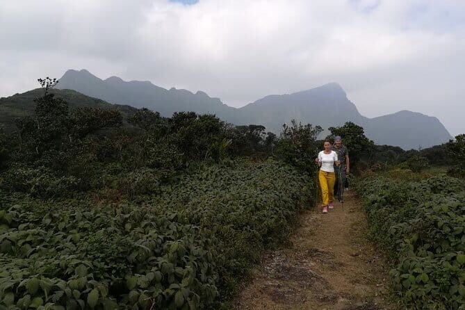 Knuckles Mountain Range Hiking and Trekking Day Tour From Kandy Hotels - The Authenticity and Surprising Details from Reviews