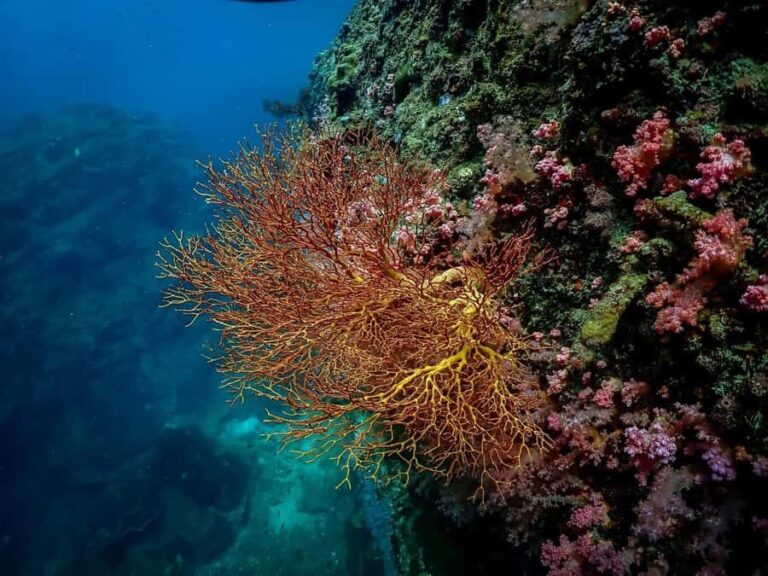 Ko Lanta: Private Long-tail Boat Fishing & Snorkeling Tour - Breaking Down the Itinerary