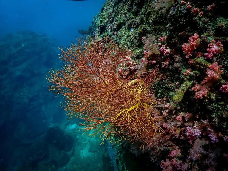 Ko Lanta: Private Long-tail Boat Fishing & Snorkeling Tour - Breaking Down the Itinerary