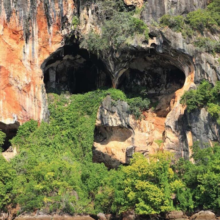 Ko Lanta: Sea Cave Kayaking Adventure Mangrove with Lunch - An In-Depth Look at the Sea Cave Kayaking Tour